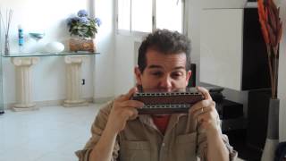 Bass harmonica  Minor Swing [upl. by Bindman]