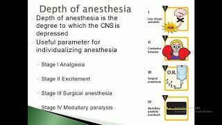 Anesthetic drugs Lecture13 [upl. by Ellenad709]