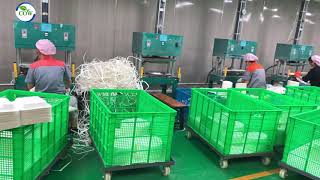 sugarcane bagasse tableware production process [upl. by Idnaj360]