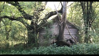 Exploring An Abandoned Homesite  This Is All It Is [upl. by Penny906]