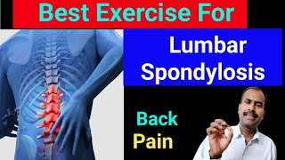 Best Exercise For Lumbar Spondylosis । Back pain Relief Exercise । Backpain painhealeravijit [upl. by Milty]