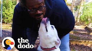 Watch How This Perfect Pittie Changed Her Dads Life  The Dodo Pittie Nation [upl. by Ahsilaf]