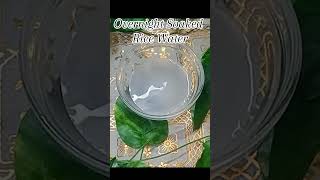 Powerful Rice Water Shampoo🌌 Long Hair Growth amp Zero HairFall haircare shorts viralvideo [upl. by Vernen33]