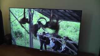 samsung UE46F8000 Led tv unboxing [upl. by Lotz616]