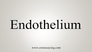 How To Say Endothelium [upl. by Rehm]