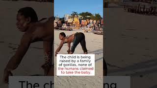 A GORILLA GAVE BIRTH TO A MAN facts shorts trending [upl. by Rephotsirhc]