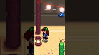 How to find the TRICORN HAT during the DESERT FESTIVAL in stardewvalley shorts gaming [upl. by Engen]