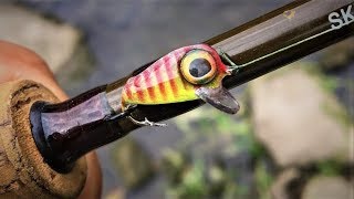 Smallest CrankBait Ever  One Day Build to Catch [upl. by Dettmer]