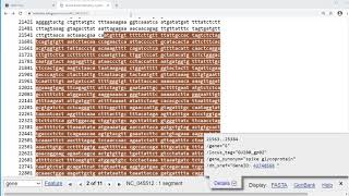 How to Download The Cornavirus RefSeq [upl. by Syxela]