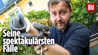 Schwarze Mamba in der Bananenkiste Der „Schlangenflüsterer“ regelt das [upl. by Nivan]