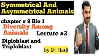 Symmetrical and Asymmetrical Animals Diploblast and Triploblastic Animals in Urdu Hindi By Dr Hadi [upl. by Annoyik]