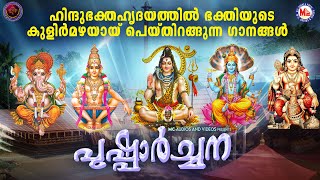 ഹിന്ദുഭക്തഹൃദയത്തിൽ ഭക്തിയുടെ കുളിർമഴയായ് പെയ്തിറങ്ങുന്ന ഗാനങ്ങൾ  Hindu Devotional Songs Malayalam [upl. by Maxie350]