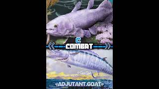 Coelacanth vs Wahoo  vsedit animals battleedit fish wisedit shorts fossil [upl. by Cesar376]