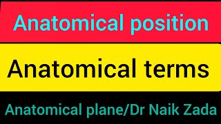 anatomical positionanatomical position and directional terms anatomical position and terms in urdu [upl. by Casimir]