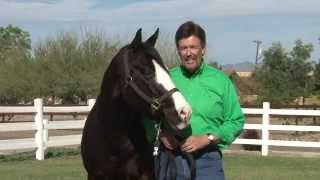 Farnam Commercial  Your Partner in Horse Care [upl. by Kelila]