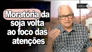 Moratória da soja volta ao foco das atenções entre produtores indústria Congresso e importadores [upl. by Alinoel]