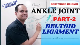 ANKLE JOINT LIGAMENTS Part 22 [upl. by Hasty676]