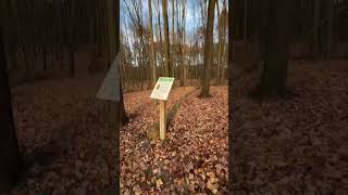 Kayla Marie BMC Sunny Lake to Moebius Nature Center Fall Leaves Evening Aurora Ohio [upl. by Prosperus]