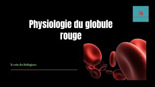 métabolisme du globule rouge [upl. by Bruell]