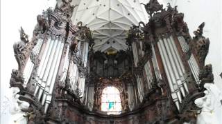 Koncert organowy w Katedrze Oliwskiej Organ concert in the Oliwa Cathedral [upl. by Bullock]