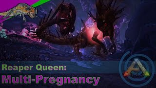 MultiPregnancy Reaper Queen Trap There is one for everyone [upl. by Ardeha]