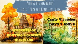 DAYS 7 amp 8 Crafty Vlogtober in Ireland 100 Year Old Handwritten Knitting Book Foxes Shep [upl. by Petracca932]