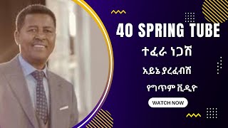 Tefera Negash Ayne yarefebsh ተፈራ ነጋሽ አይኔ ያረፈብሽ Lyrics [upl. by Rossuck]