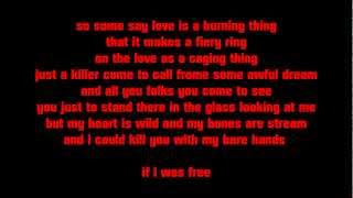 Phosphorescent  Song For Zula ♥ LyricsSongtext [upl. by Arammahs]