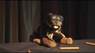 Triumph the Insult Comic Dog Live at a Benefit Part 34 [upl. by Yniatirb]