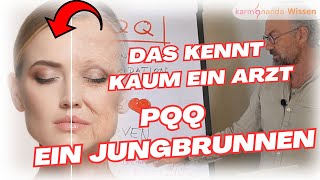 PQQ  ein Wundermittel  und in der Medizin kaum beachtet [upl. by Ahsenrad]