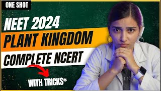 NEET 2024 Plant Kingdom One Shot  Class11 Biology [upl. by Yeslehc]