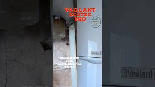 Vaillant EcoTec Pro Cleaning the condensate trap gas boiler service engineer gasengineer [upl. by Weingartner]