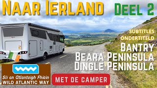 Part 2 van de WILD ATLANTIC WAY Beara en Dingle We rijden over de HEALY PASS en SLEA HEAD DRIVE [upl. by Anilyx726]