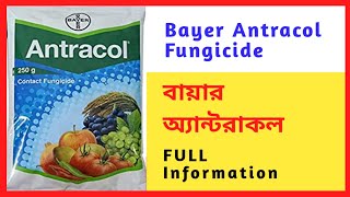 Bayer Antracol  Full Details  Propineb 70 wp In Bengali 100 Solution [upl. by Anauqat656]