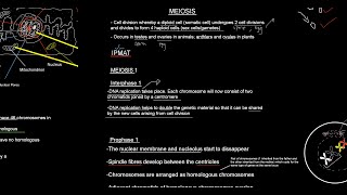 LIFE SCIENCES GRADE 12MEIOSISPHASESIMPORTANCEGENETIC VARIATIONCROSSING OVERMADE SIMPLE [upl. by Robi]