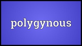 Polygynous Meaning [upl. by Maclean]