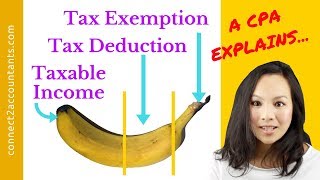 Taxable Income Explained by a CPA Also Tax Exemptions amp Tax Deductions too [upl. by Onaivatco]