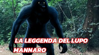 LA LEGGENDA DEL LUPO MANNARO DI CAPODIMONTE  PARTE2 storiehorror viralvideo videosubscribe [upl. by Tressa]