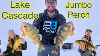 Lake Cascade Ice Fishing Jumbo PERCH Early Ice Constant Action [upl. by Grassi619]