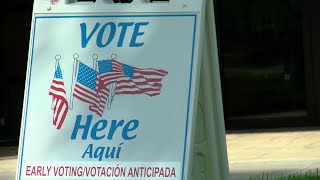 Residents take advantage of early voting for Florida primary [upl. by Ocsicnarf235]