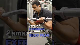 2 amazing Exercises for Bicep Peak 💪 shorts [upl. by Belak657]