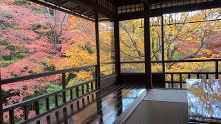 Rurikoin Temple Kyoto Japan [upl. by Ennaeirrac]