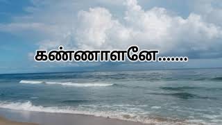 kannalane song lyrics in tamil  Bombay movie [upl. by Hanikahs705]