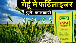 N P K fertilizer for wheat crop  गेहूं मे कोनसा खाद डाले [upl. by Sahc]