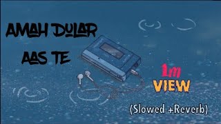 Amah Dular Aas te lofi Slowed Reverb Santhali song 2024 murmukuralofi reverb slowed [upl. by Petr731]