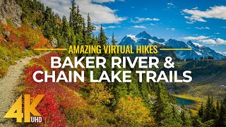 4K Virtual Hike Near River through the Forest  Baker River Trail amp Chain Lake Trail [upl. by Bobker]