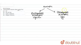 Chemosynthetic bacteria obtain energy from [upl. by Ahsekel]
