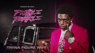 Kodak Black  TRYNA FIGURE WHY Official Visualizer [upl. by Yarised]