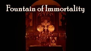 FOUNTAIN OF IMMORTALITY  Meditation on the Orthodox Divine Liturgy [upl. by Guimond]