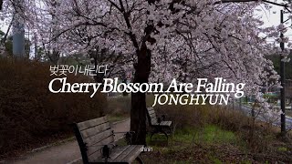 벚꽃이 내린다 Cherry Blossom Are Falling — JONGHYUN 종현  Cover  Sub Español [upl. by Otreblada]